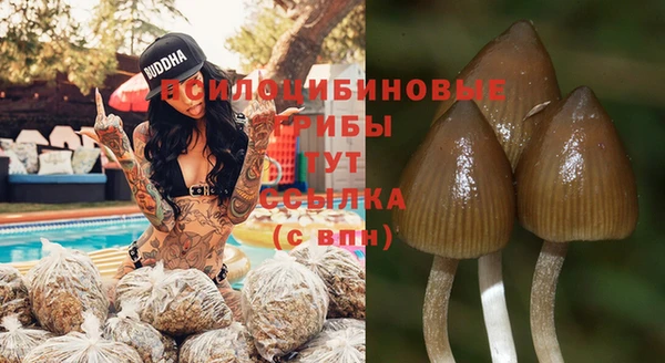 a pvp Елизово