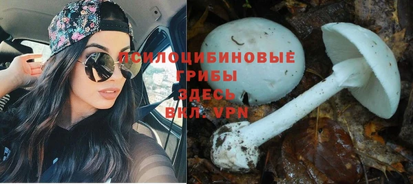 a pvp Елизово
