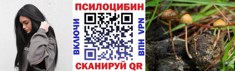 Галлюциногенные грибы ЛСД  что такое наркотик  кракен зеркало  Долгопрудный 